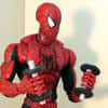 Hammer bicep curl exercise