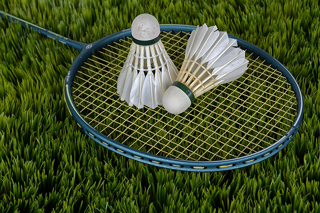 Badminton Racket Pixa 