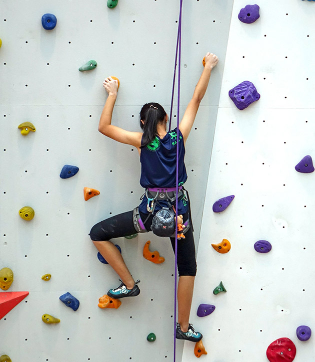 https://www.topendsports.com/sport/climbing/images/indoor-sport-climbing-pixabay.jpg