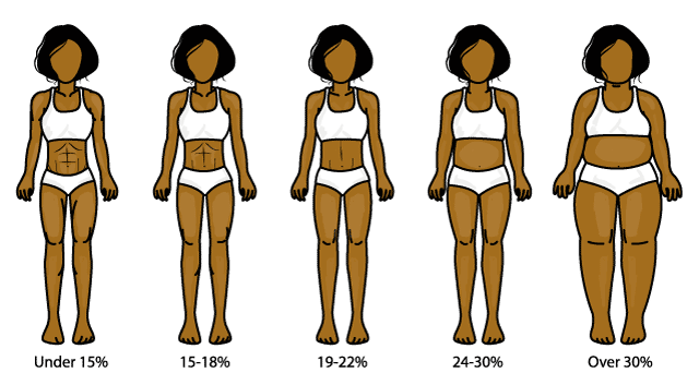 Body composition estimation