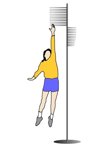 Proper position for measuring standing height (National Health and